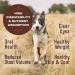 Primal Freeze Dried Lamb Formula Dog Food 14oz - Made in USA, Grain-Free & Raw - Buy Online on GoSupps.com
