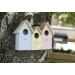 Garden Mile Novelty 3 In 1 Wooden Wild Garden Bird Houses Nesting Box Predator Proof Small Birds Sparrows Tits Robin Nester Garden Ornament