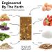 SANS PB and J Meal Replacement Protein Bar | All-Natural, Sugar-Free Nutrition Bar | Dairy-Free, Soy-Free, Gluten-Free | 14 Vitamins & Minerals | 6 Pack, 3 oz Bars - Buy Online on GoSupps.com