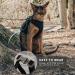 SOKANA Cat Harness and Lead Set for Walking Escape Proof - Lightweight Secure Kitten Harness and Lead Set also for Dogs Puppy Pet Small Size | Black - Buy Online on GoSupps.com