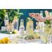 Double Dutch Elderflower Tonic | 24 x 200ml bottles | Low Calorie Perfect Mixer for Cocktails No Artificial Colours Preservatives or Flavours (Pack of 24) Elderflower Tonic Water - Buy Online on GoSupps.com