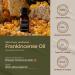 Gya Labs Pure Frankincense Essential Oil - 100% Natural, Therapeutic Grade for Pain Relief, Skin Care & Aromatherapy - 0.34 fl oz - Buy Online on GoSupps.com