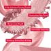 Shop Mirabella 4-Piece Makeup Set - Illuminizing Holiday Gift for Women & Girls | Talc-Free Paraben-Free | Lip Gloss Glow Drops & More - Buy Online on GoSupps.com
