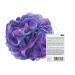 Freeman Jumbo Net Body Sponge for Exfoliating & Deep Cleaning - Large Pouf for Bath & Shower - Men & Women - Multicolored - Buy Online on GoSupps.com