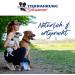 Schwenner-Short Beef's Head for Dogs - 2500g Dried Dental Dog Snacks | Quality Pet Food & Care - Buy Online on GoSupps.com