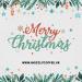 Christmas Coffee Gift Box | Great Gift for Christmas | Coffee Gift Set | Includes 8 Bags of Different Premium Coffees | Single Origin Coffee | Grizzly Coffee - Buy Online on GoSupps.com