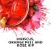 Tazo Herbal Iced Passion Tea - Caffeine-Free - 6 Bags | 2.85 oz - Buy Online on GoSupps.com