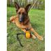 Dingo Gear Training Toy Ball - 9cm Black & Orange with 65cm Handle | French Nylcott for IGP Obedience Training | Small Ball - S02814 - Buy Online on GoSupps.com