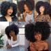 GIVLOVE Kinky Curly Clip in afro Hair Extensions Clip Ins Brazilian Remy Human Hair for Black Women Natural Color 7pieces (1b# 120g) (1b 14inch) 14inch 1b - Buy Online on GoSupps.com