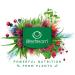 Lifestream Natural Magnesium Powder 150g - Pure Marine Source | High Quality Supplement - Buy Online on GoSupps.com