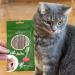 Premium Matatabi Cat Dental Chew Sticks - Natural Silvervine Toothbrush Toy for Cats - Teeth Cleaning & Oral Care - PrettyKitty Cat Toy - Buy Online on GoSupps.com