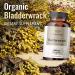 HERRBAMAMA Bladderwrack Capsules - 1200mg Natural Thyroid Support & Joint Health - Organic Vegan Supplement for Weight Management - Non-GMO Immune Booster - Buy Online on GoSupps.com