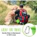 Mighty Paw Foldable Dog Bowl Set | 2-Piece Silicone Travel Bowl (Green) - Light Leak-Proof Large Capacity for International Orders - Buy Online on GoSupps.com