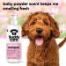 BuddyCare Baby Fresh Dog Shampoo - 3 x 500ml | Puppy Shampoo with Aloe Vera & Provitamin B5 for Dogs 8 Weeks & Older - Fragrant Baby Powder Formula - Buy Online on GoSupps.com