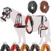 Esposita single-chipping "professional" carriage dishes for Shetty pony and horse dishes for minishetty to XL cold blood Routing dishes for single-dining mini mini shetty black and red