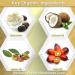 Natural Handmade Essential Oil Artisan Soap Bars - Hypoallergenic Moisturizing Shea Butter, Coconut Oil & Jojoba Oil - 6 Pack Gift Wrapped - Buy Online on GoSupps.com