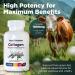 Complete Collagen Capsules for Women 1800mg Types I II III V X for Hair Skin Nails Joints & Bone Health High Absorption Anti-Aging Non-GMO Gluten-Free 90 Capsules - Buy Online on GoSupps.com