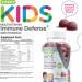 Kids 8-in-1 Immune Health Support Gummies with Probiotics Vitamin C, D3, B12, B6, Zinc, Elderberry, Selenium 120 Count Pack for Children Berry Flavored Dietary Supplement - Buy Online on GoSupps.com