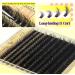 ALICE Fluffy Volume Lash Clusters Natural Lash Extensions DIY Eyelash Extensions 220Pcs 3D Wispy Individual Lashes(10-16mm 0.05D D Curl) A - 3D Wispy - Buy Online on GoSupps.com