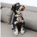 Unique Style Paws Dog Collar - Comfortable Cotton Fly Collar for Young Girl Dogs | Adjustable S Size (10-16in) - Colorful Grille Design - Buy Online on GoSupps.com