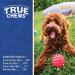True Chews Natural Dog Treats - Healthy & Delectable Snacks for Your Furry Friend - Buy Online on GoSupps.com