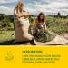 Ricola Honey Lemon Echinacea Cough Drops - Buy Online on GoSupps.com