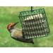 C&S Suet Treats 12 Pack Woodpecker - Premium Wild Bird Feeding Solution - Buy Online on GoSupps.com