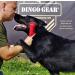 Dingo Gear Cotton Nylon Bite Sausage for Dog Training | IGP IPO Obedience Protection | 20x7 cm Red - Buy Online on GoSupps.com