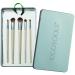 EcoTools Daily Defined Eye Brush Set - 5 Pieces & Storage Tray for Perfect Eye Makeup - Buy Online on GoSupps.com