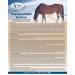 Omega Alpha Equine Respi-Free 32oz. - Buy Online on GoSupps.com