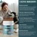 Brindle & Bear Digestion Plus Daily Veterinary Endorsed Dog Probiotic Powder Supplement Helps With Gut Health Digestive Health Sensitive Stomach Itchy Skin Natural Pesticide & GMO Free Formula 150g - Buy Online on GoSupps.com