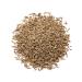 Cumin Seeds 5 lb - Non-GMO Verified, Fragrant Spice for Mexican, Middle Eastern & Indian Dishes - High in Iron, Magnesium & Fiber - Vegan, Kosher Bulk Pack - Jeera Seeds - Buy Online on GoSupps.com
