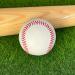 Blank Leather Baseball for Autographs, Crafts & Souvenirs | Regulation Size & Weight, Quality Stitching - Perfect for Custom Gifts & Youth Play - Buy Online on GoSupps.com
