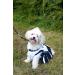 Dallas Cowboys NFL Cheerleader Dog Dress - Size Small - Buy Online on GoSupps.com