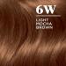 Clairol Nice'n Easy 6W Light Mocha Brown Hair Dye Pack of 3 - 6.26 Fl Oz - Buy Online on GoSupps.com