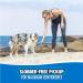 Chuckit! Fetch & Fold Dog Ball Launcher Set - Hands Free Rubber Fetch Toy for Dogs - Buy Online on GoSupps.com