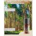 Organic Spruce Oil Essential Oil (Picea excelsa) - Wild Growth from Austria | 10ml - Premium Quality for Aromatherapy & Natural Wellness - Buy Online on GoSupps.com
