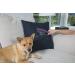 FURemover Handheld Pet Hair Removal Tool - Silicone Lint & Debris Remover Duo - Buy Online on GoSupps.com