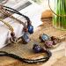 6-Piece Adjustable Stone Holder Necklace Cord Set for DIY Jewelry Making - Quartz Crystal Stone Necklace Cord in Black, Brown, Beige - Buy Online on GoSupps.com