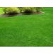 New Formula - 2 Gals. Non-Toxic Septic Drain Field Treatment | Bio-Septic Boost for Hard Pan Soil & Bio-Mat Repair | Maintain Your Septic System - Buy Online on GoSupps.com