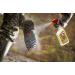 Scent Killer 579 Super Charged Autumn Formula Spray Combo - 48 oz | Wildlife Research - Buy Online on GoSupps.com