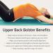 Buy HSP Upper Back Bolster Wooden Pillow | Spinal Health Pain Relief & Posture Correction | Maple Wood Lumbar Support - Buy Online on GoSupps.com