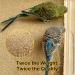S&X Bird Cage Gravel Paper 30 Pack | 15 x 11 Sand Sheets for Easy Cleaning & Bird Health - Buy Online on GoSupps.com