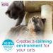 Comfort Zone Multi-Cat Diffuser Refills - 3 Pack | Veterinarian Recommended Solution for Peaceful Home, Stop Cat Fighting, Spraying & Scratching - Buy Online on GoSupps.com