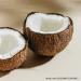 Undone Beauty Water Highlighter Stick - Coconut Water Infused for Dewy Glow - Rose Lit 0.19 oz - Buy Online on GoSupps.com