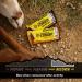 Honey Stinger Protein Cracker Bar | Peanut Butter Milk Chocolate | Sports Nutrition Snack for Exercise, Endurance & Performance | 12 Bars - Buy Online on GoSupps.com