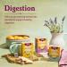 Yogi Tea - Lemon Ginger Tea (3 Pack) - Caffeine Free Organic Herbal Tea - 48 Tea Bags - Buy Online on GoSupps.com