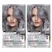 L'Oreal Paris Feria Multi-Faceted Shimmering Permanent Hair Color, Smokey Silver, Pack of 2, Hair Dye SILVER & PINKS S1 Smokey Silver 2 Count (Pack of 1)