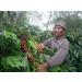 Source Climate Change Coffee Award Winning Organic Medium Roast Nicaragua Single Origin Roast and Ground Coffee Bag 0.227kg - Buy Online on GoSupps.com