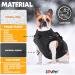 Lovpet Dog Jacket & Coat - Waterproof XL Padded Vest with 45 Feces Bags Chest Strap Reflectors & D-Ring for Dogs - International Shipping Available - Buy Online on GoSupps.com